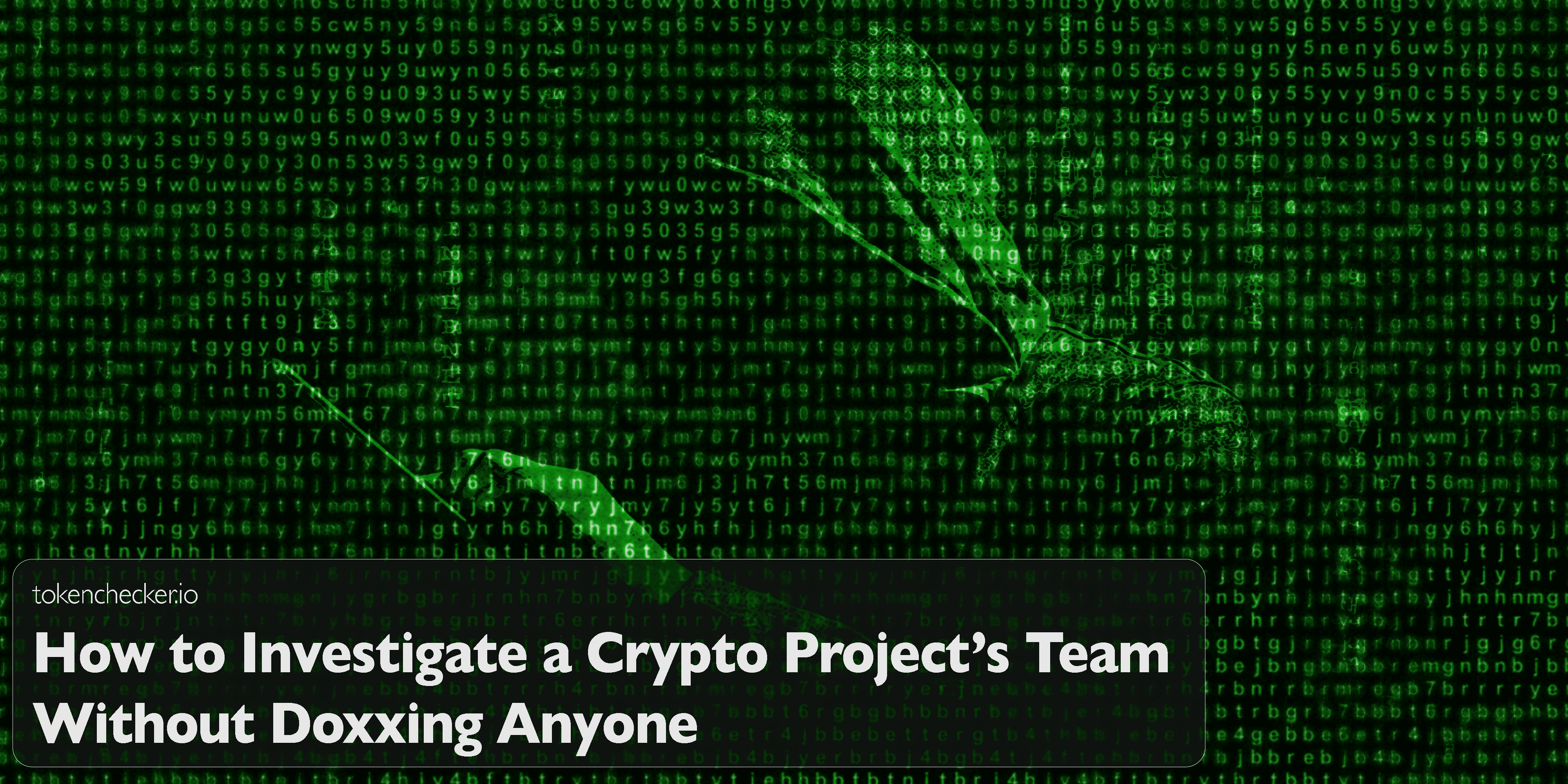 Illustration of ethical investigation into a crypto team with privacy shields