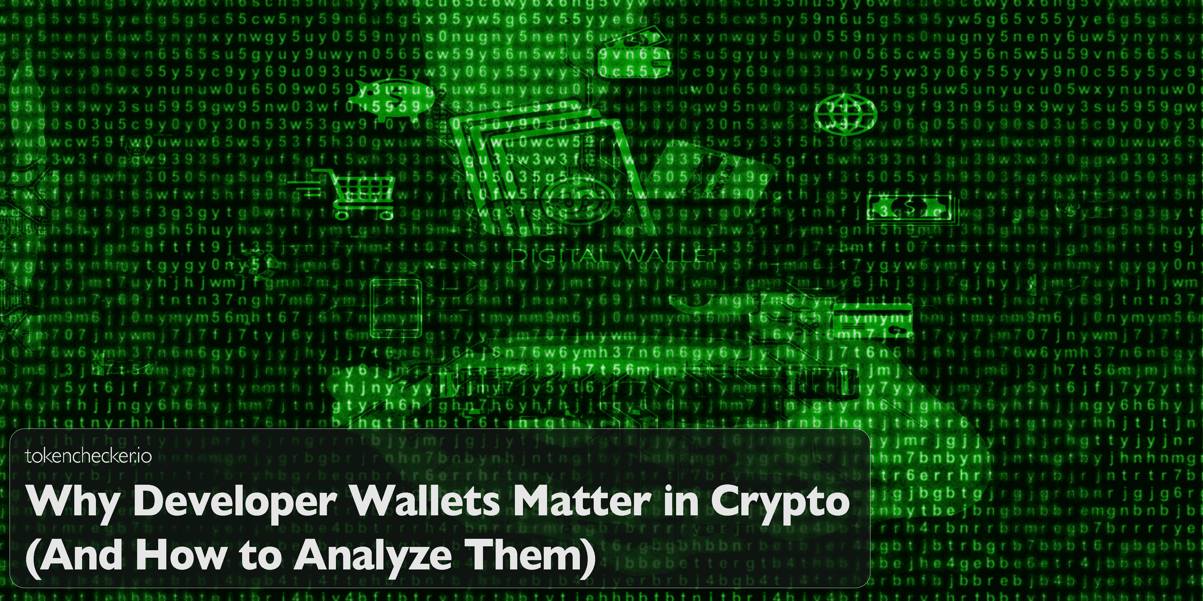 Illustration of analyzing a developer wallet